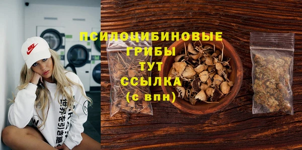 Альфа ПВП Карпинск