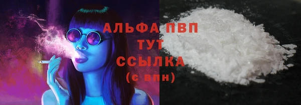 тгк Каменногорск