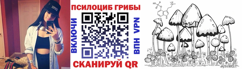 Псилоцибиновые грибы Psilocybine cubensis Кинешма